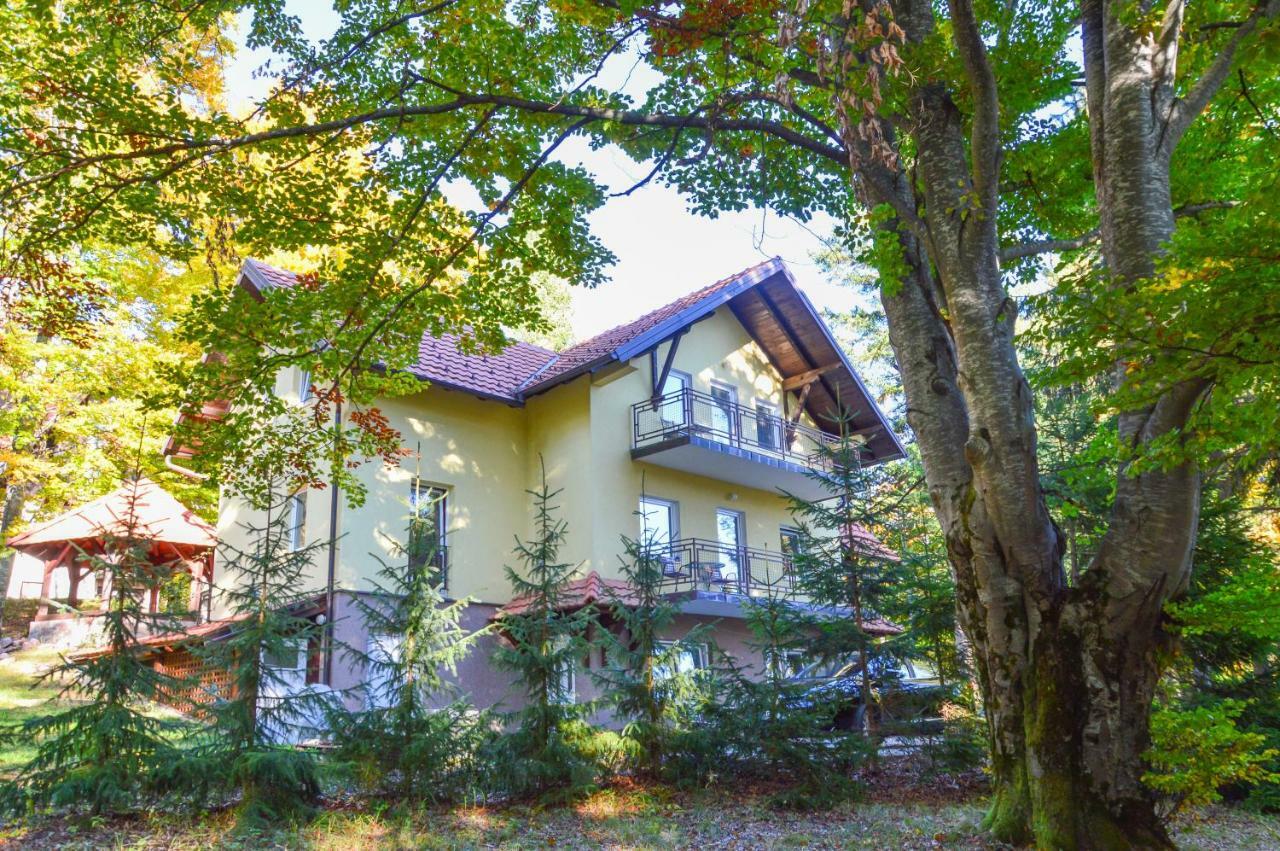 Vila Savinka Zlatibor Eksteriør bilde